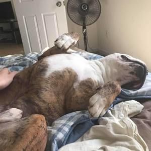 Meet your Posher, Patty